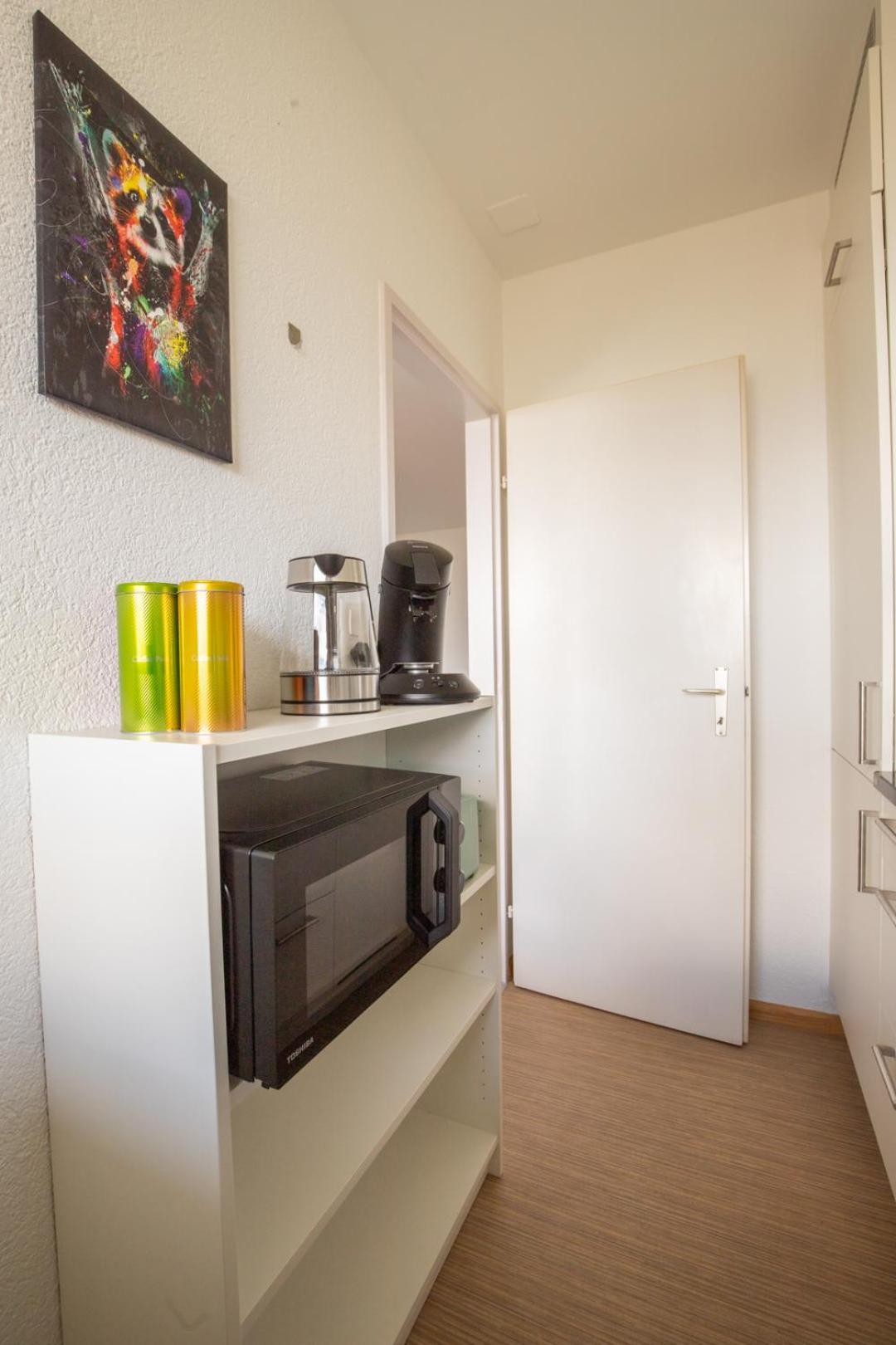 Special Blue Tiger Apartment Basel, Messe Kleinbasel 10-Star Zewnętrze zdjęcie
